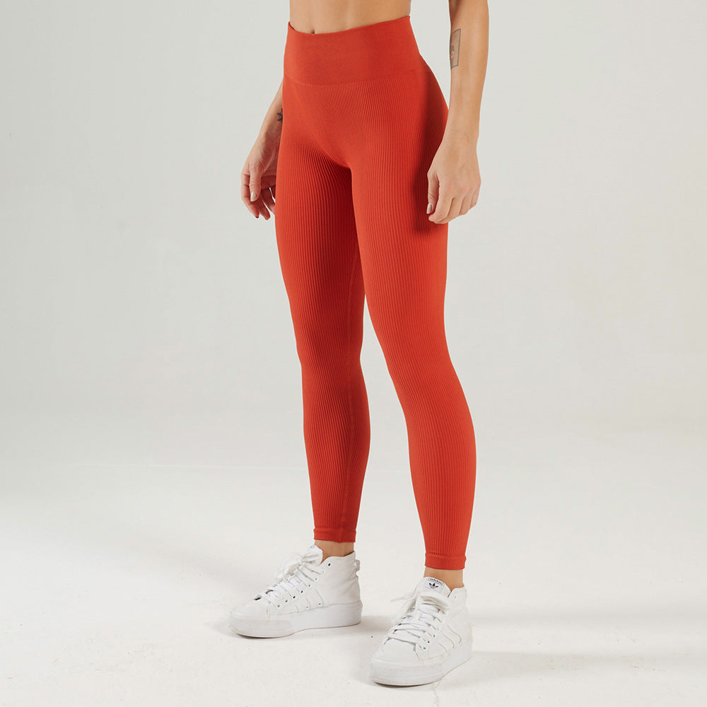 FlexFit Seamless Yoga Combo