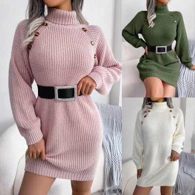 Allinn Turtleneck Long Sweater