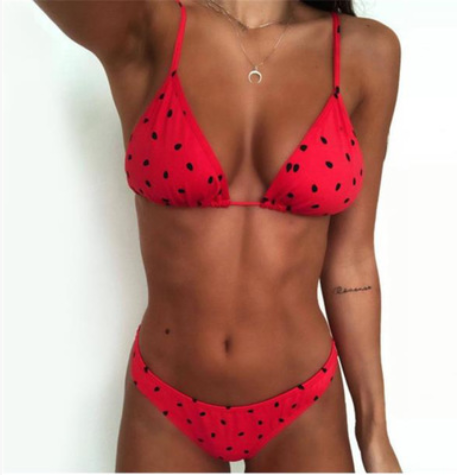 Watermelon  Two-Piece Bikini Set