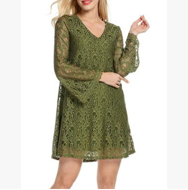 Elegant Lace  V-Neck Dress