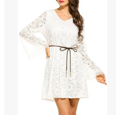 Elegant Lace  V-Neck Dress