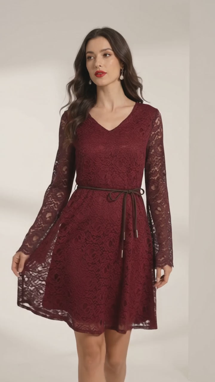Elegant Lace  V-Neck Dress